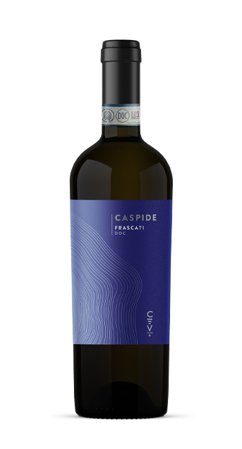 CASPIDE FRASCATI DOC DEF