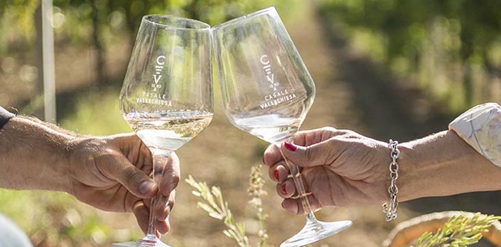 Picnic in the vineyard